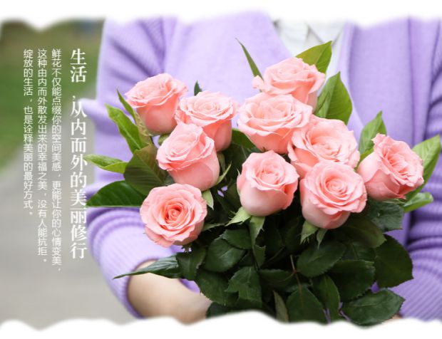 戴安娜玫瑰花语是什么,不同朵数戴安娜玫瑰花语是什么?