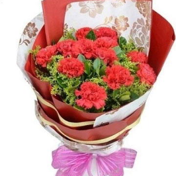 红色康乃馨花语的花语是什么