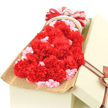 红色康乃馨花语的花语是什么
