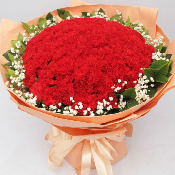 红色康乃馨花语的花语是什么