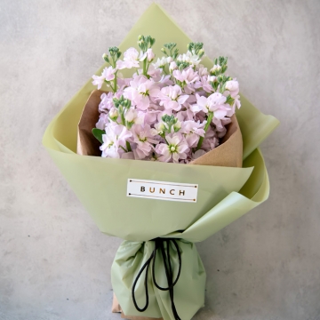 ����֪����ʲô��˼,ʲô�˿��Ա���Ϊ����֪��