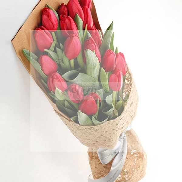 橙色郁金香花语是什么