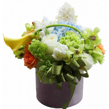 风信子的花语是什么,风信子有什么寓意?