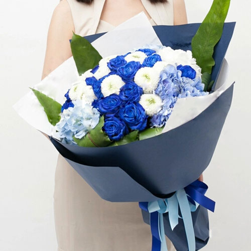 六月有哪些花开?